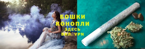 PSILOCYBIN Бронницы