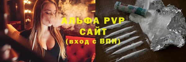 шишки Богородицк