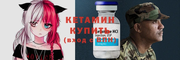 шишки Богородицк