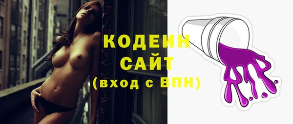 прущие грибы Бородино