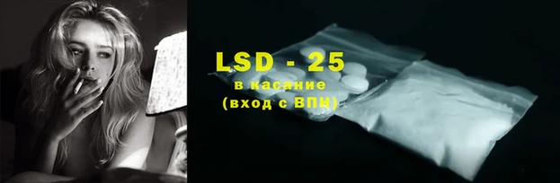 прущие грибы Бородино