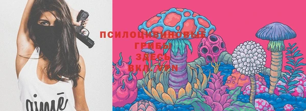 PSILOCYBIN Бронницы